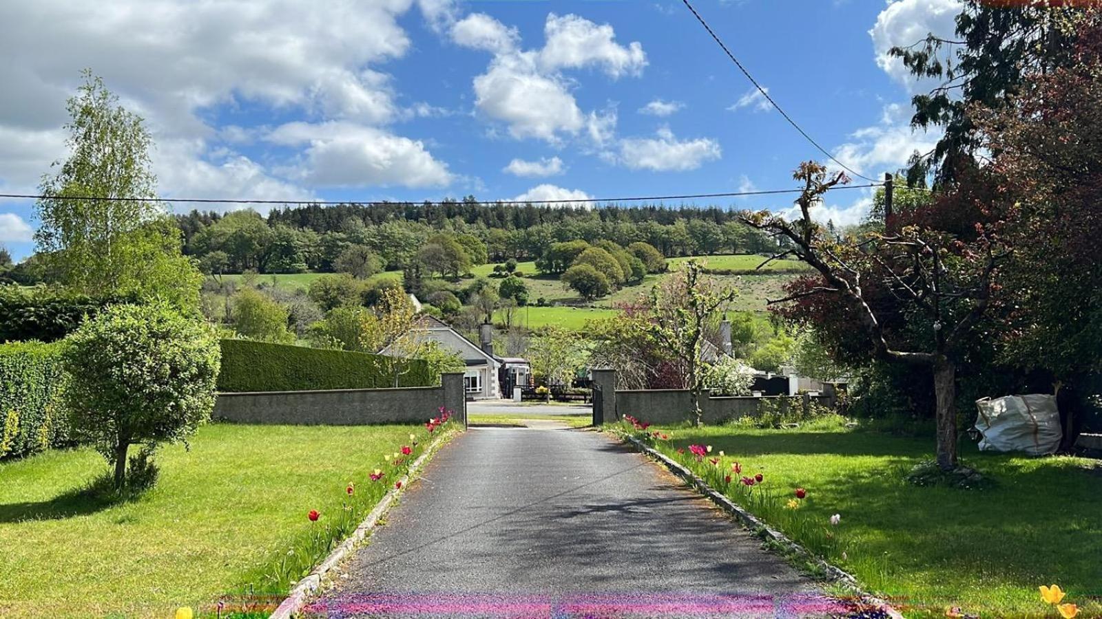 Avonbeg Cottages 2 Bed 1 Bath Accommodate 3 Guests Rathdrum Extérieur photo
