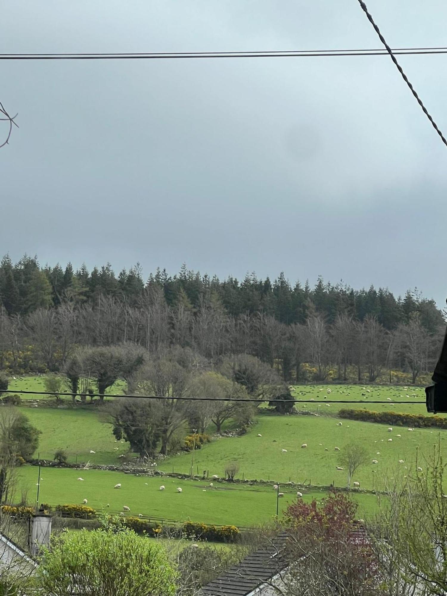 Avonbeg Cottages 2 Bed 1 Bath Accommodate 3 Guests Rathdrum Extérieur photo
